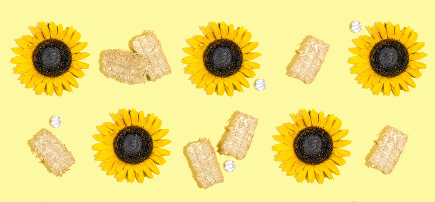 Как оценить работодателя